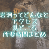 竜ヶ岩洞の内部通路にネオン風の文字で「竜ヶ岩洞ってどんなとこ？アクセス・見どころ・所要時間まとめ」と書かれた画像