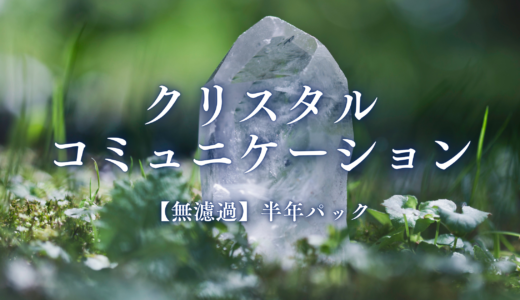 クリスタルコミュニケーション【無濾過】半年パックのアイキャッチ画像。緑の苔の上に立つ水晶ポイントのイメージ。