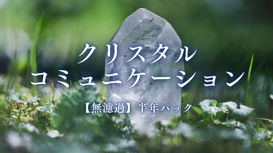 クリスタルコミュニケーション【無濾過】半年パックのアイキャッチ画像。緑の苔の上に立つ水晶ポイントのイメージ。